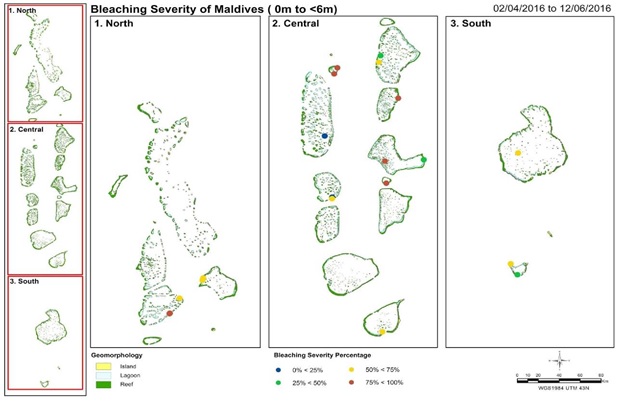 Bleaching severity 0m to 6m